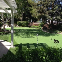 Artificial Turf Seekonk, Massachusetts Landscape Ideas