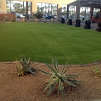 Artificial Turf West Bridgewater Massachusetts Landscape