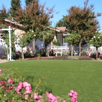 Fake Grass Norton Center Massachusetts Landscape Back Yard