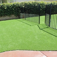 Fake Pet Grass Blackstone Massachusetts for Dogs