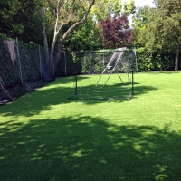 Synthetic Grass Stadium Abington Massachusetts Back Yard