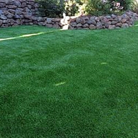 Synthetic Pet Turf Framingham Center Massachusetts Installation