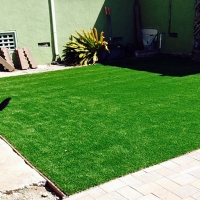 Synthetic Pets Areas Marshfield Hills Massachusetts Installation