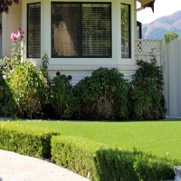 Synthetic Turf Franklin Massachusetts Lawn Commercial Landscape