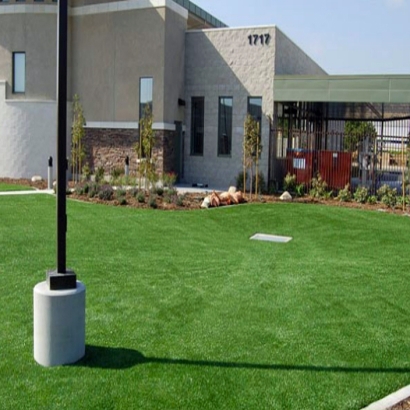 Artificial Grass Foxborough Massachusetts Lawn Front Yard