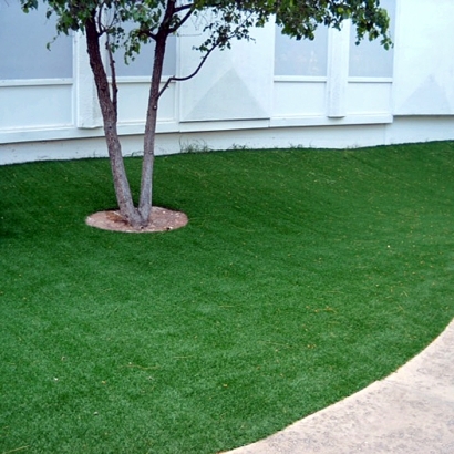 Artificial Grass Ocean Bluff-Brant Rock Massachusetts Lawn