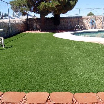 Artificial Pet Turf Dunstable Massachusetts for Dogs Front