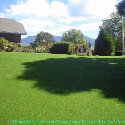 Artificial Pet Turf Somerville Massachusetts for Dogs