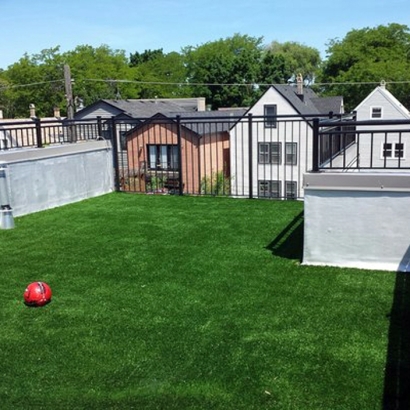 Artificial Pet Turf Weymouth Massachusetts for Dogs