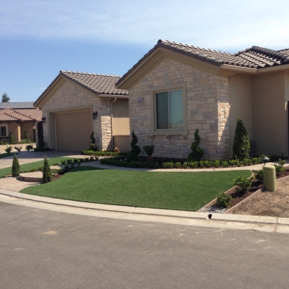 Artificial Turf Littleton Common Massachusetts Lawn Back