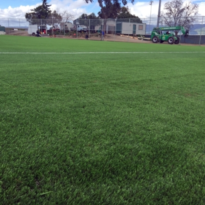 Artificial Turf Sports Uxbridge Massachusetts Front Yard