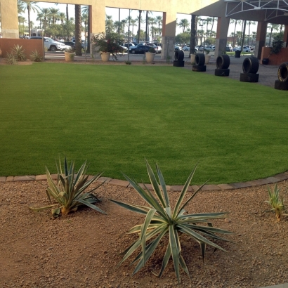 Artificial Turf West Bridgewater Massachusetts Landscape