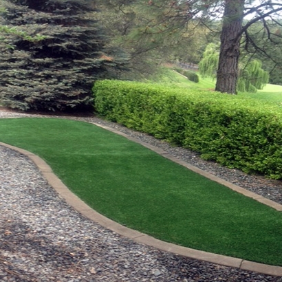 Fake Grass Bolton Massachusetts Landscape Back Yard