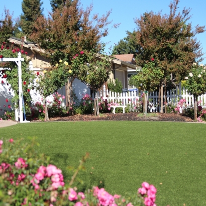 Fake Grass Norton Center Massachusetts Landscape Back Yard