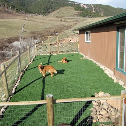 Fake Pet Grass Nahant Massachusetts Installation Front Yard