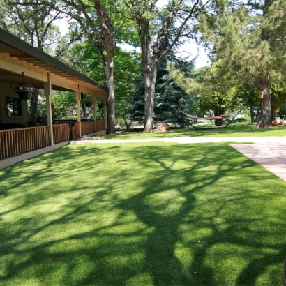 Fake Pet Turf Beverly Cove Massachusetts Installation Commercial