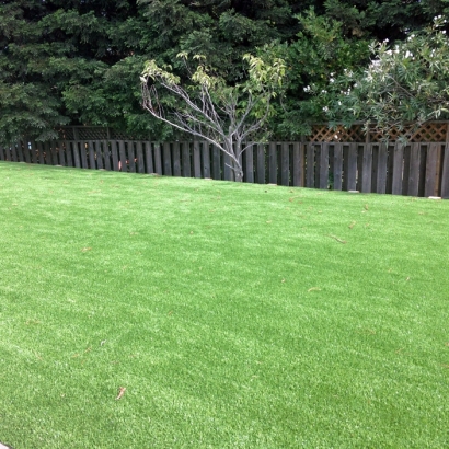 Fake Turf Ipswich Massachusetts Lawn Commercial Landscape