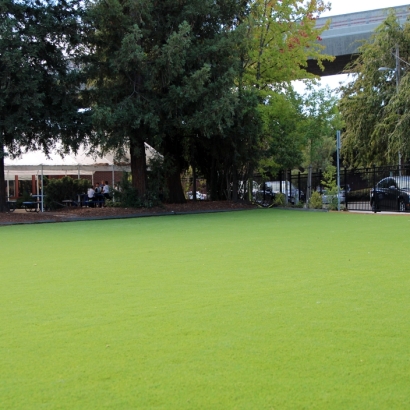 Fake Turf Lowell Massachusetts Lawn Back Yard