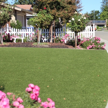 Fake Turf Southborough Massachusetts Lawn Back Yard