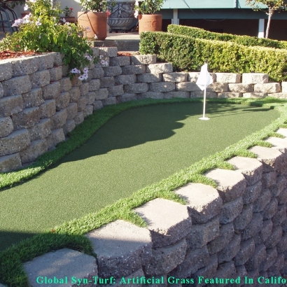 Golf Putting Greens Somerville Massachusetts Artificial Turf