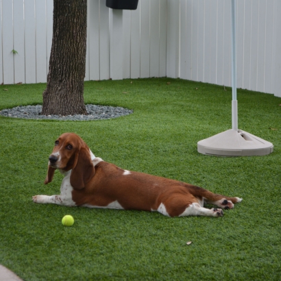 How To Install Artificial Grass Wareham Center, Massachusetts Artificial Grass For Dogs, Dogs