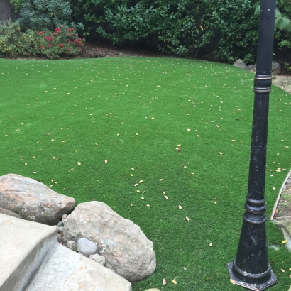 Synthetic Grass Berkley Massachusetts Lawn