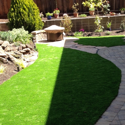 Synthetic Grass Cost Oxford, Massachusetts Garden Ideas