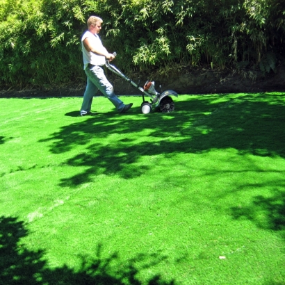 Synthetic Grass Marshfield Massachusetts Landscape Front