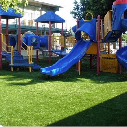 Synthetic Grass Medway Massachusetts School Front Yard