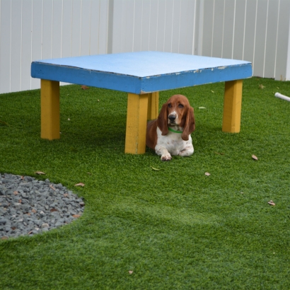 Synthetic Grass Swansea, Massachusetts Drainage, Dog Kennels