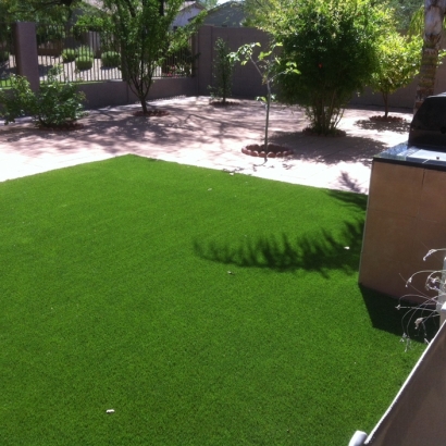 Synthetic Pet Grass Hampstead New Hampshire for Dogs