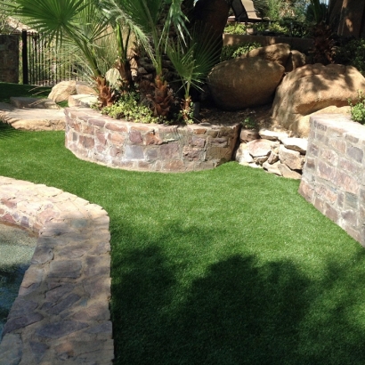 Synthetic Pet Turf Mansfield Massachusetts for Dogs Front