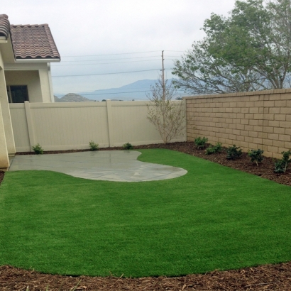 Synthetic Turf Amesbury Massachusetts Landscape Back Yard