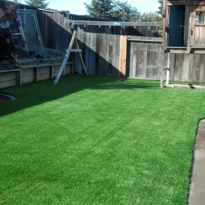 Synthetic Turf Medway Massachusetts Landscape Front Yard