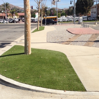 Synthetic Turf Milford Massachusetts Landscape