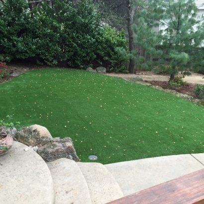 Synthetic Turf Whitinsville Massachusetts Landscape