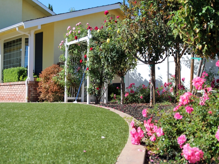 Artificial Grass East Bridgewater Massachusetts Lawn