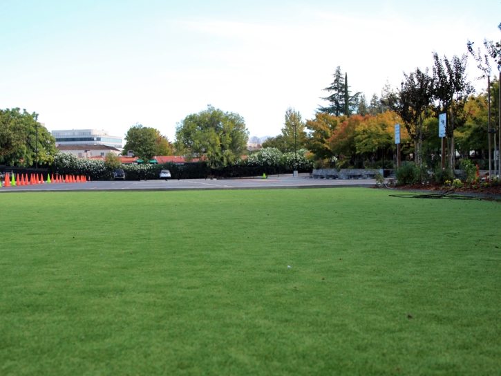 Artificial Grass Essex Massachusetts Childcare Facilities