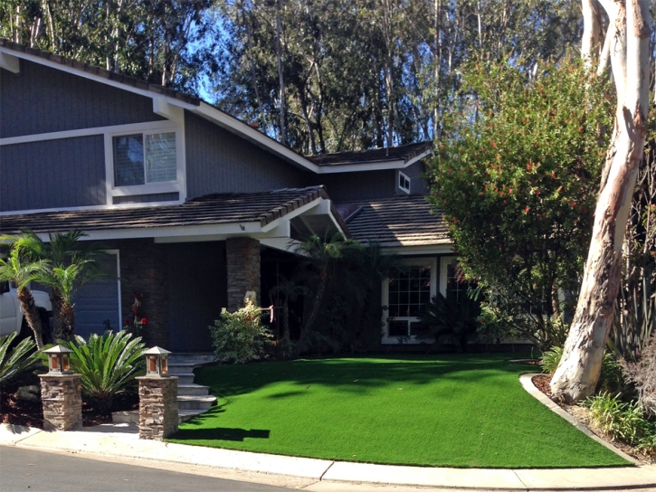 Artificial Grass North Plymouth Massachusetts Lawn Back