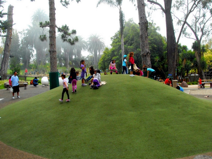 Artificial Grass Northborough Massachusetts School Front