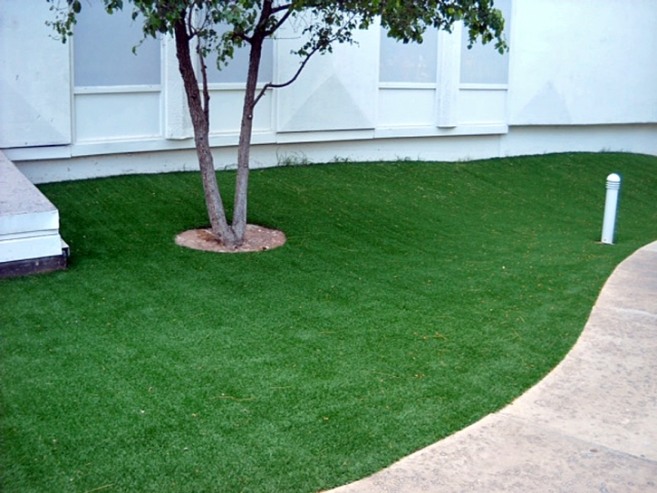 Artificial Grass Ocean Bluff-Brant Rock Massachusetts Lawn