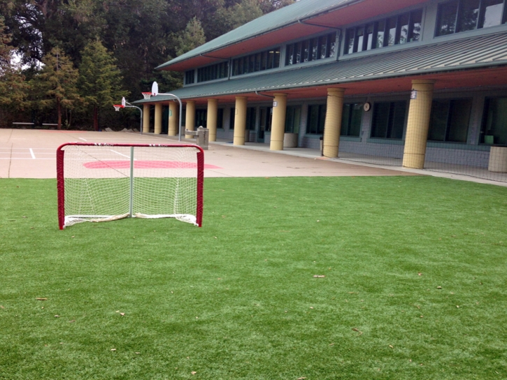 Artificial Grass School Stadium Millis Massachusetts Back