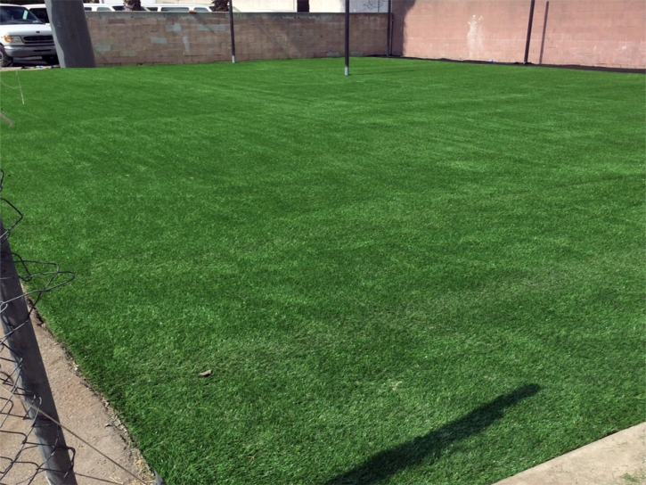 Artificial Grass Sports Brockton Massachusetts