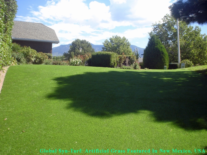 Artificial Pet Turf Somerville Massachusetts for Dogs