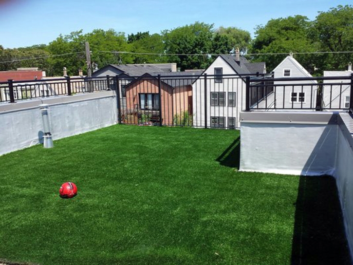 Artificial Pet Turf Weymouth Massachusetts for Dogs