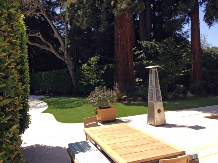 Artificial Turf Franklin Massachusetts Lawn Commercial Landscape