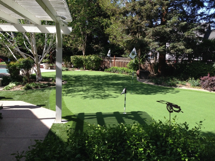 Artificial Turf Seekonk, Massachusetts Landscape Ideas