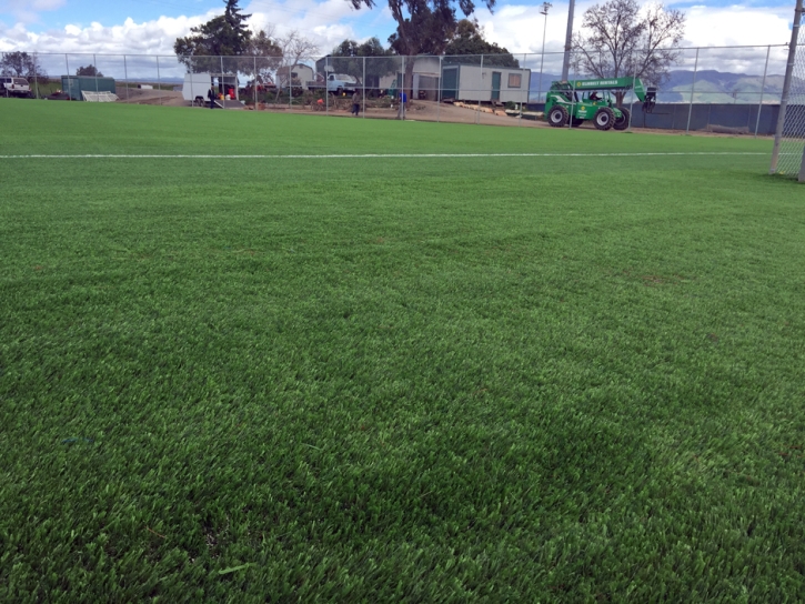 Artificial Turf Sports Uxbridge Massachusetts Front Yard