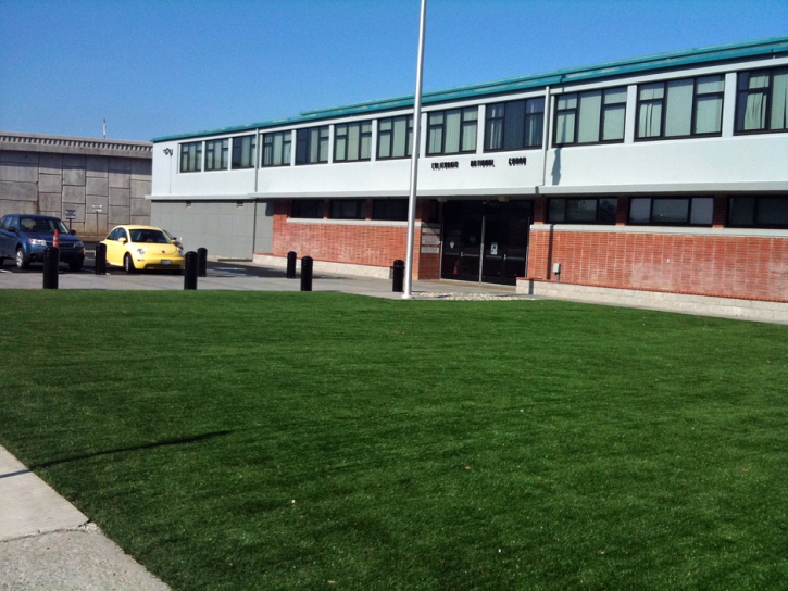 Artificial Turf Winchester Massachusetts Lawn Back Yard