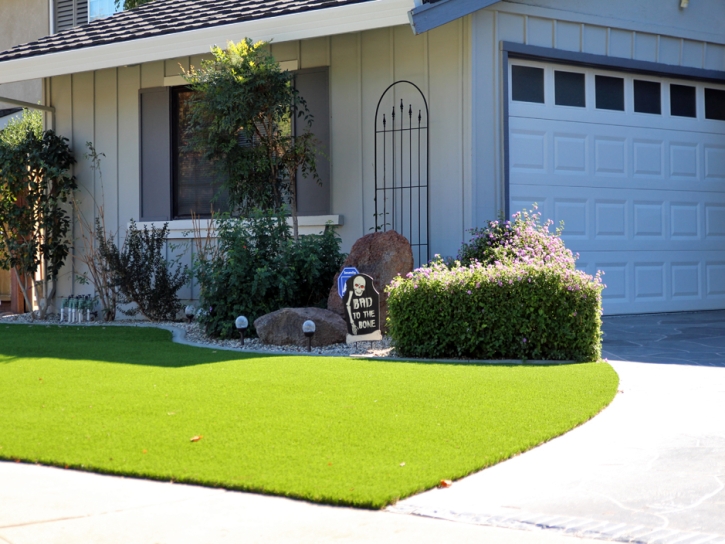 Fake Grass Essex Massachusetts Lawn Back Yard